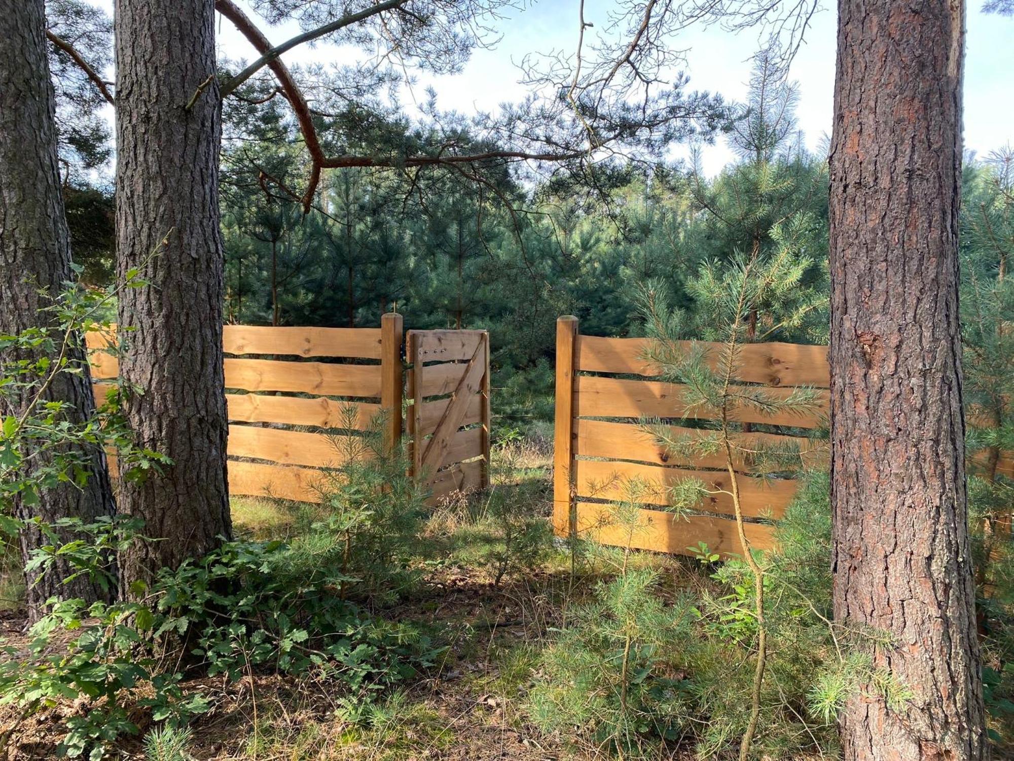 Grotow 2E Villa Drezdenko Bagian luar foto